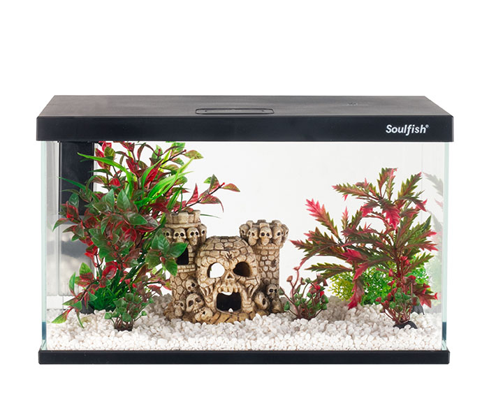 2024年新款斗魚(yú)缸 2024年新款斗魚(yú)缸