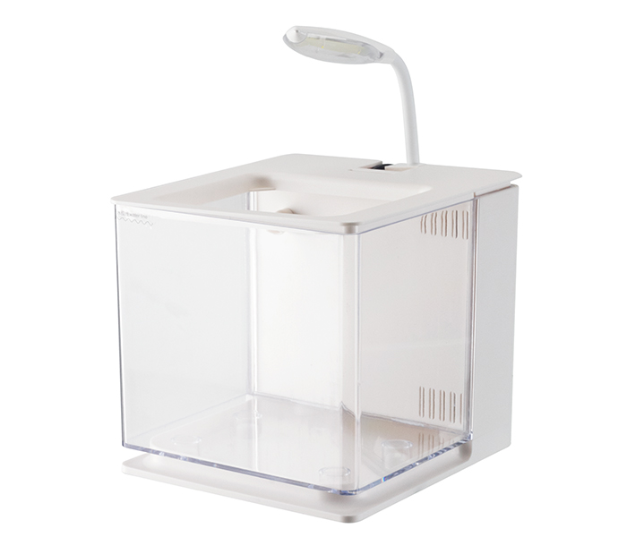 斗魚(yú)缸 斗魚(yú)缸