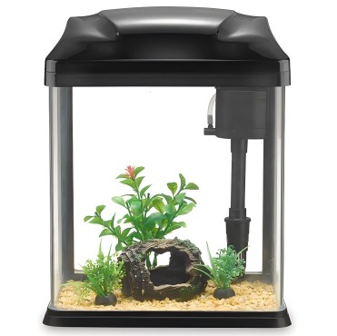 新款魚(yú)缸 新款魚(yú)缸