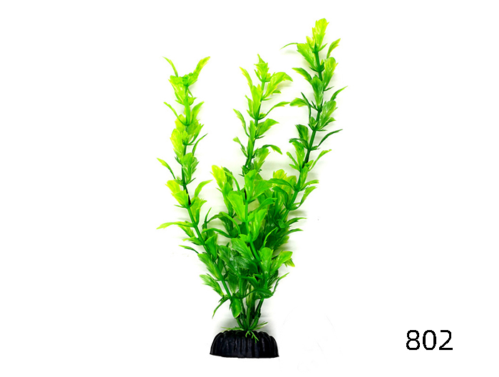 塑料水草-前景水草