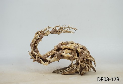 魚(yú)缸裝飾-巴西木 魚(yú)缸裝飾-巴西木