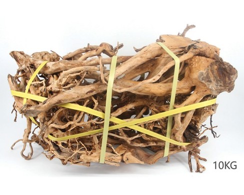 魚(yú)缸裝飾-杜鵑跟 魚(yú)缸裝飾-杜鵑跟