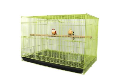 鳥(niǎo)籠 鳥(niǎo)籠